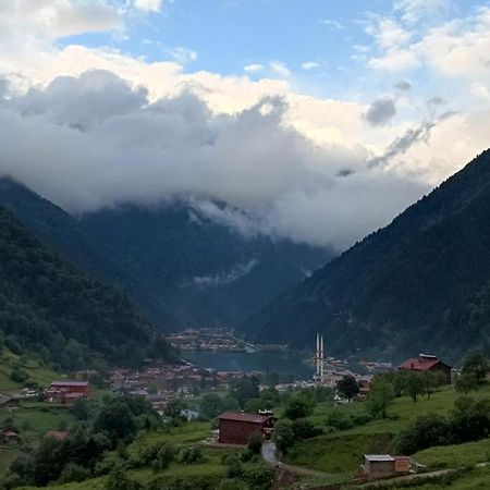 Er-Konak Suit Apart Uzungöl Exteriér fotografie