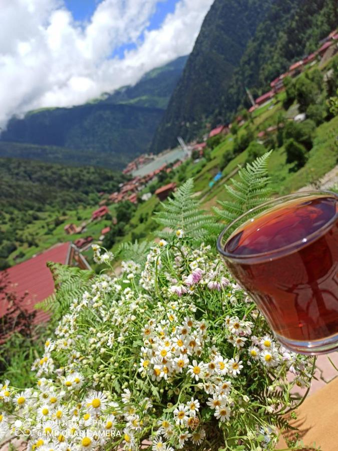 Er-Konak Suit Apart Uzungöl Exteriér fotografie