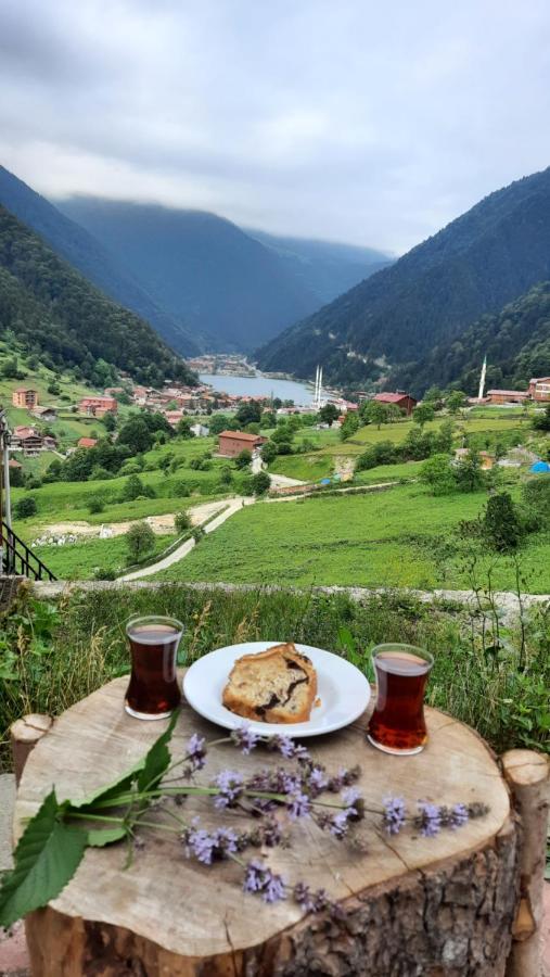 Er-Konak Suit Apart Uzungöl Exteriér fotografie