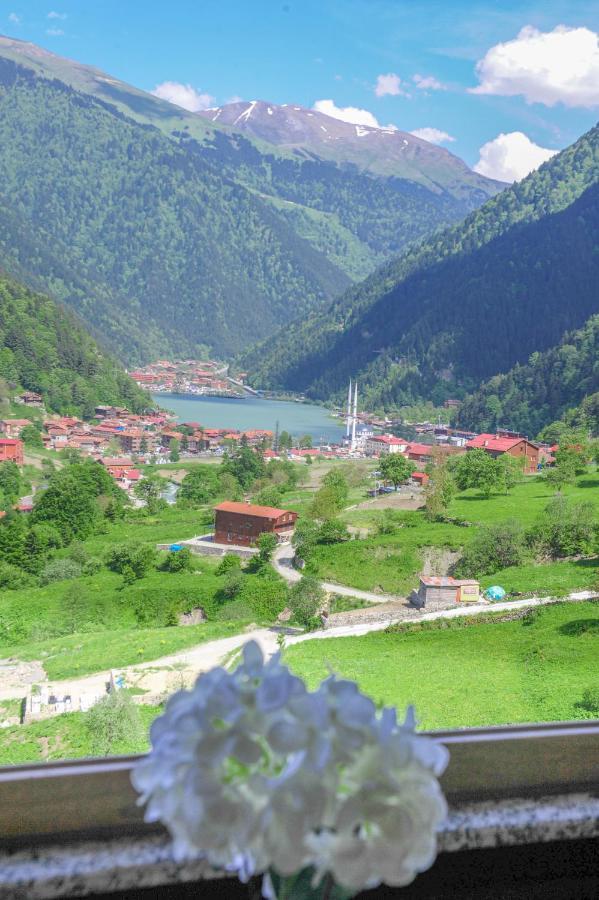 Er-Konak Suit Apart Uzungöl Exteriér fotografie