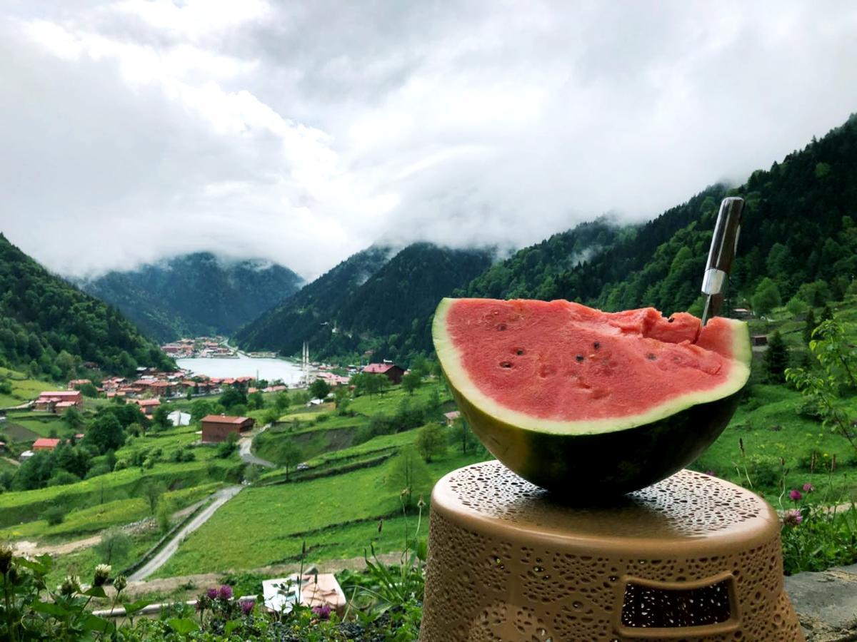 Er-Konak Suit Apart Uzungöl Exteriér fotografie